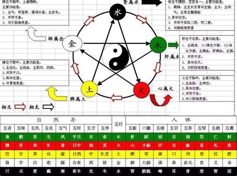 天干屬性|「四柱八字」十天干的五行属性和阴阳属性